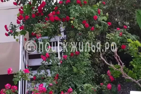 «Итинисан», Адлер