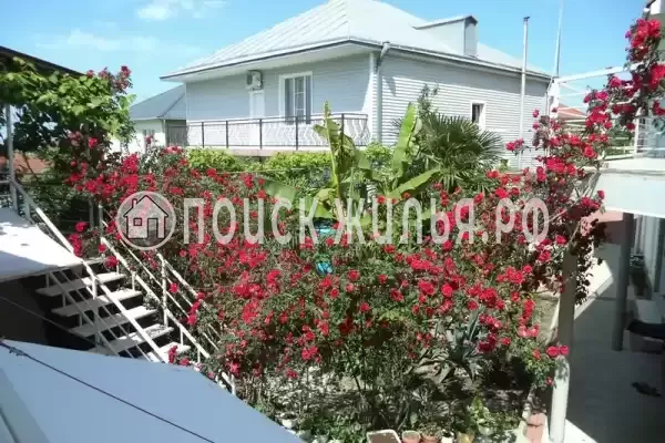 «Итинисан», Адлер