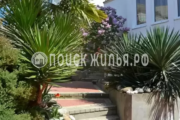 «Итинисан», Адлер