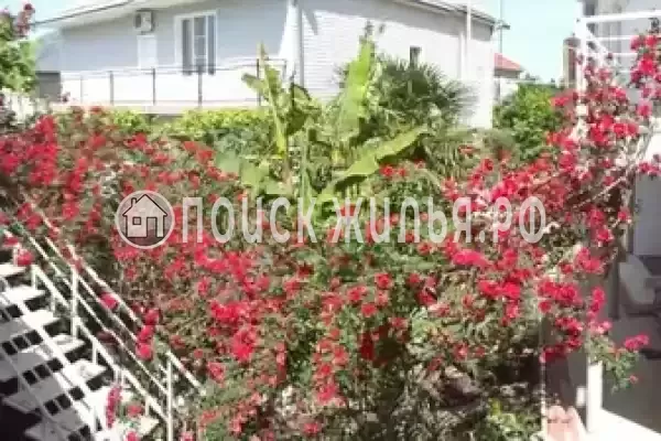 «Итинисан», Адлер