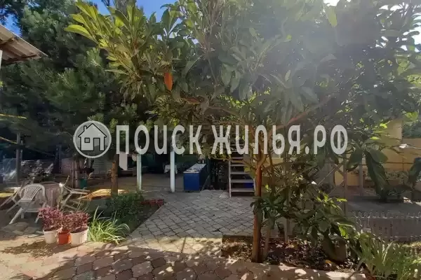 «Прохлада», Лазаревское «Прохлада», Лазаревское