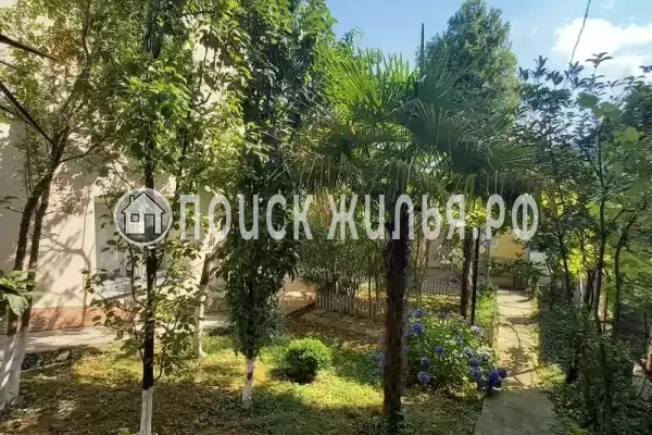 «Прохлада», Лазаревское «Прохлада», Лазаревское