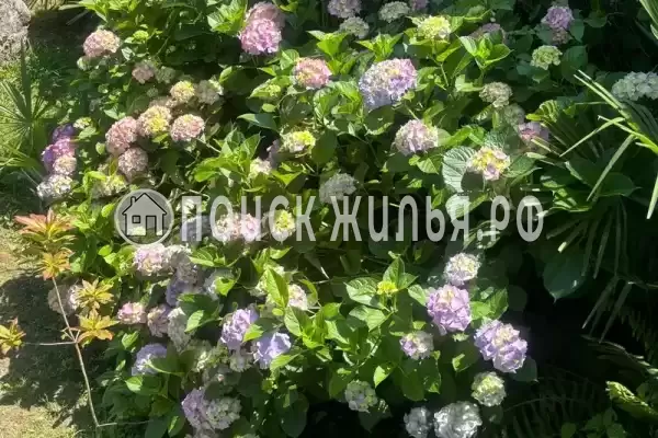 «Чё Hotel», Волконка «Чё Hotel», Волконка