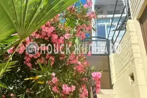 «Эльмар», Лазаревское