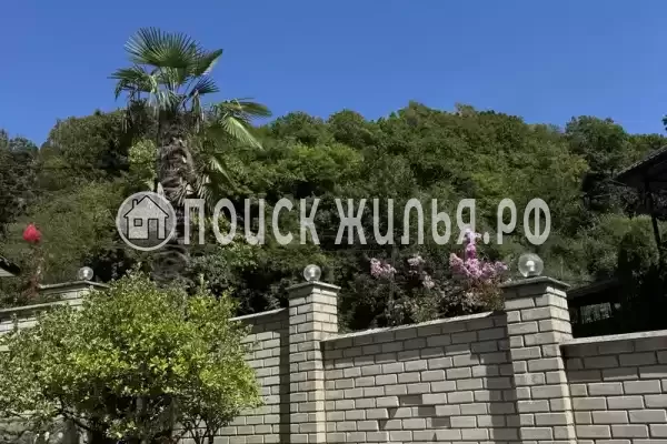 «Зеленый рай», Солоники «Зеленый рай», Солоники