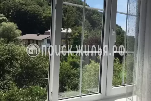 «Зеленый рай», Солоники «Зеленый рай», Солоники