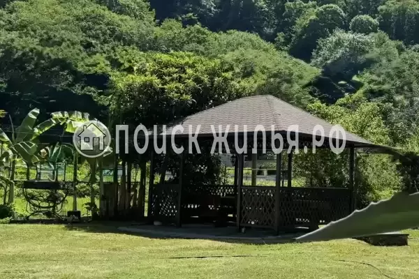 «Зеленый рай», Солоники «Зеленый рай», Солоники