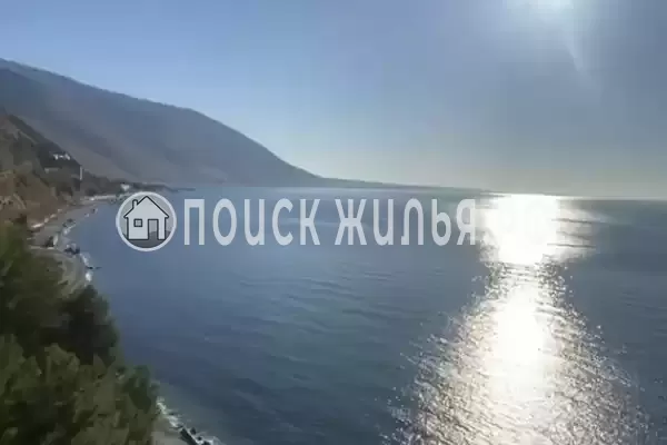 «Зеленый рай», Солоники «Зеленый рай», Солоники