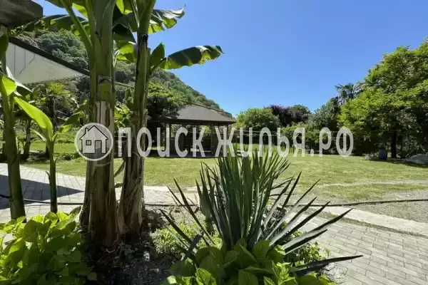 «Зеленый рай», Солоники «Зеленый рай», Солоники