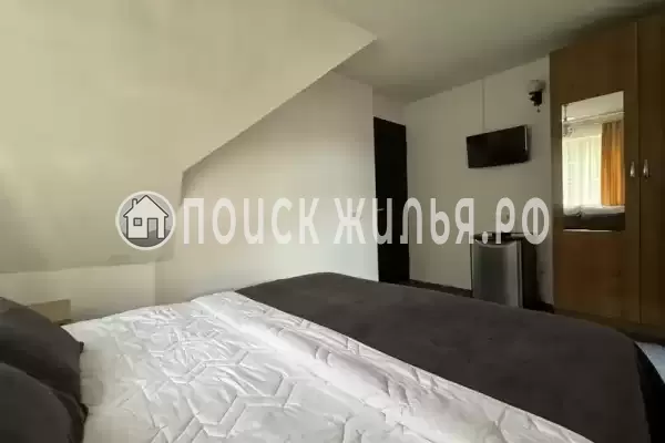 «Зеленый рай», Солоники «Зеленый рай», Солоники