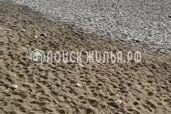 «Зеленый рай», Солоники «Зеленый рай», Солоники