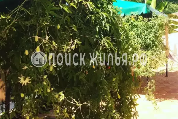 «У Ярика», Вардане «У Ярика», Вардане