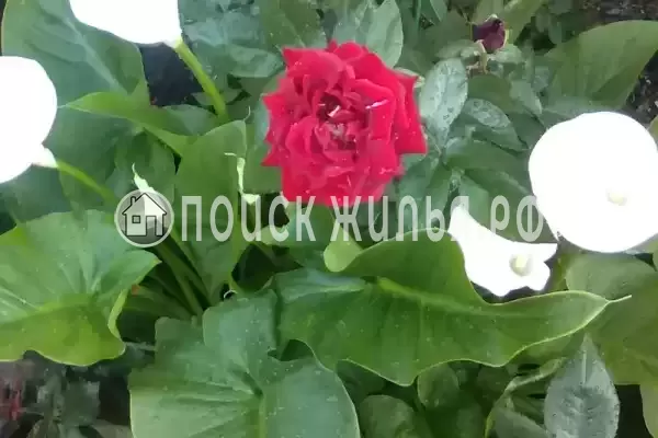 Частный сектор «У Анны», Вардане Частный сектор «У Анны», Вардане