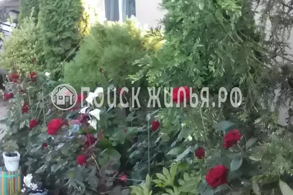 Частный сектор «У Анны», Вардане Частный сектор «У Анны», Вардане