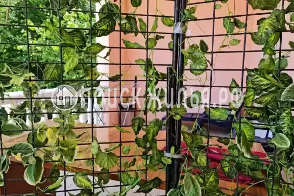 Частный сектор «Императрица», Джанхот