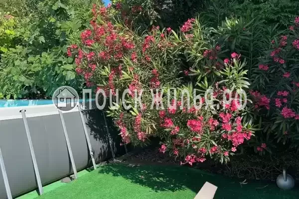 Гостевой дом «Альмира», Лоо Гостевой дом «Альмира», Лоо