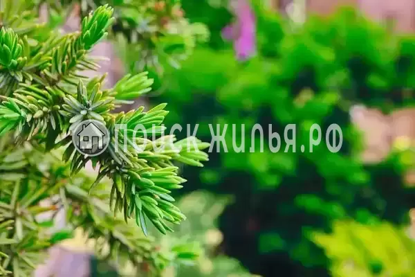 Гостевой дом «Diverona», Дивноморское Гостевой дом «Diverona», Дивноморское