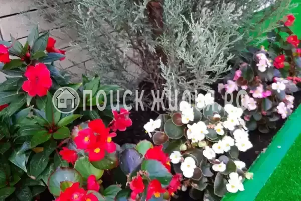 Гостиница «Лили», Лоо