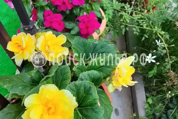 Гостиница «Лили», Лоо