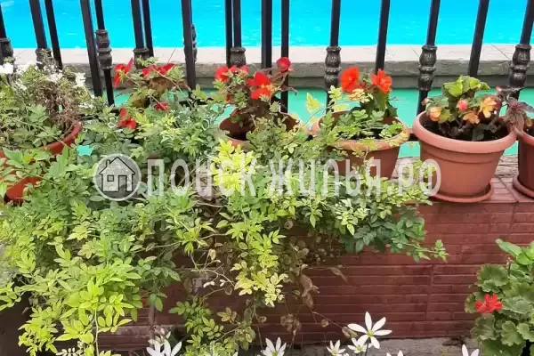 Гостиница «Лили», Лоо