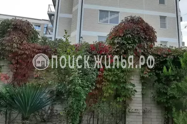 Гостиница «Лили», Лоо