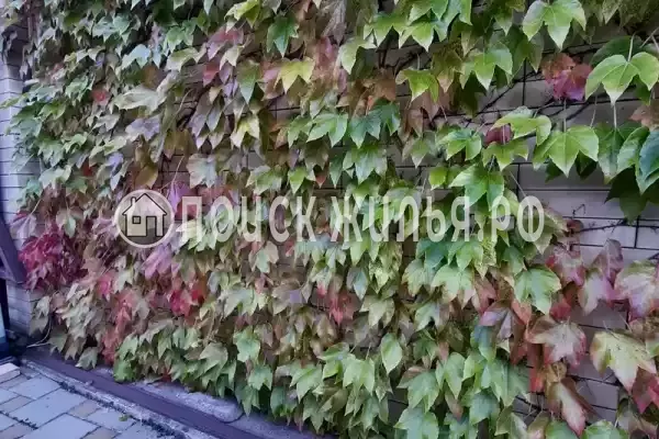 Гостиница «Лили», Лоо