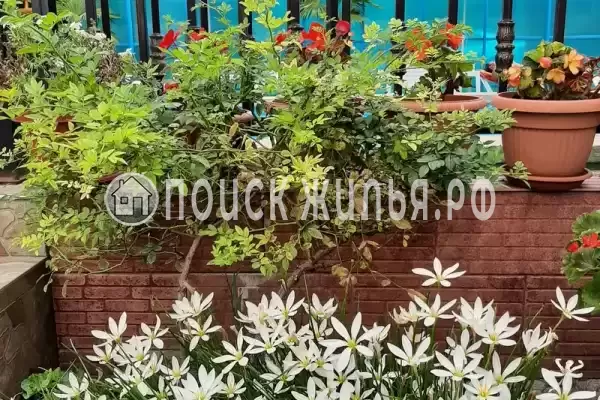 Гостиница «Лили», Лоо