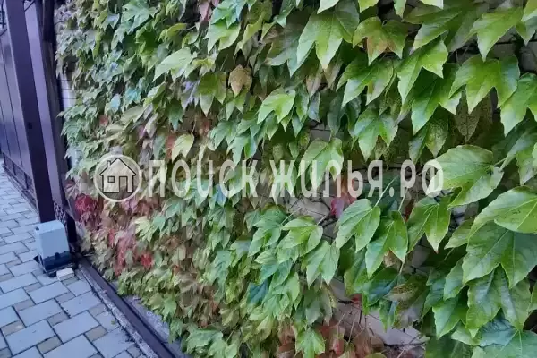 Гостиница «Лили», Лоо