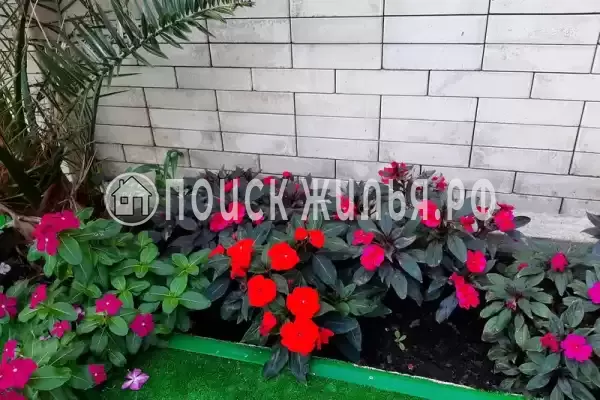 Гостиница «Лили», Лоо