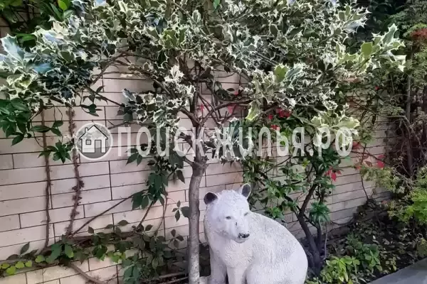 Гостиница «Лили», Лоо