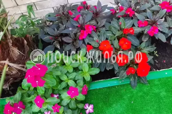 Гостиница «Лили», Лоо