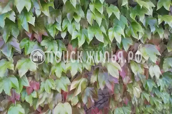 Гостиница «Лили», Лоо