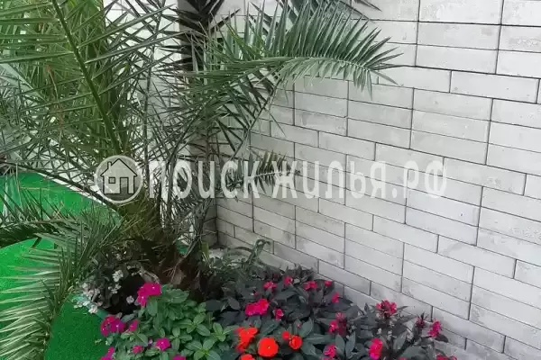 Гостиница «Лили», Лоо