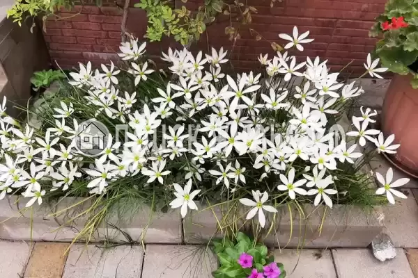 Гостиница «Лили», Лоо