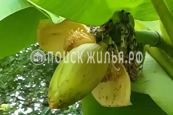 Гостиница «Лили», Лоо