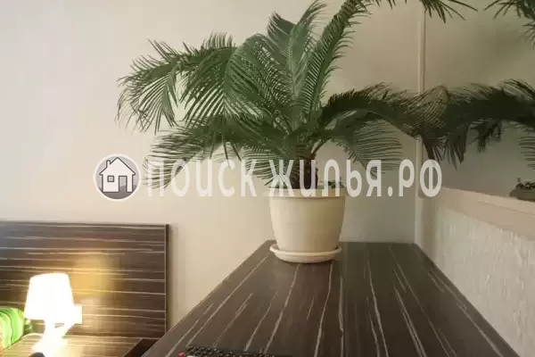 Частный сектор «Novikoff», Лазаревское