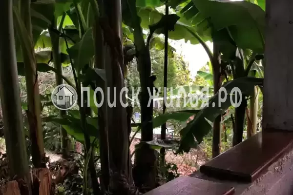 Частный сектор «Novikoff», Лазаревское