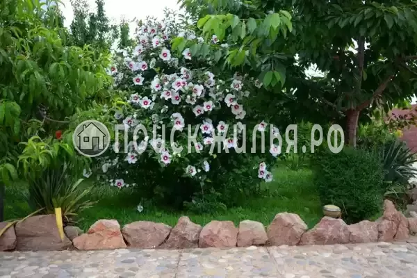 Гостевой дом «У моря», Береговое Гостевой дом «У моря», Береговое