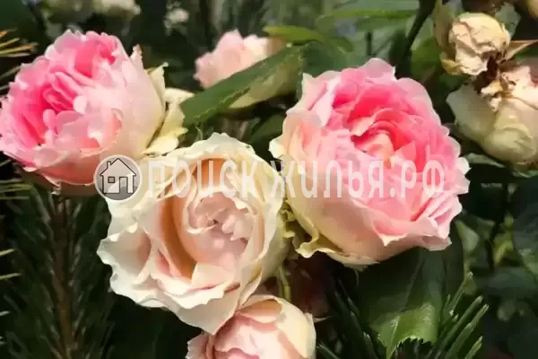 Гостевой дом «У моря», Береговое Гостевой дом «У моря», Береговое