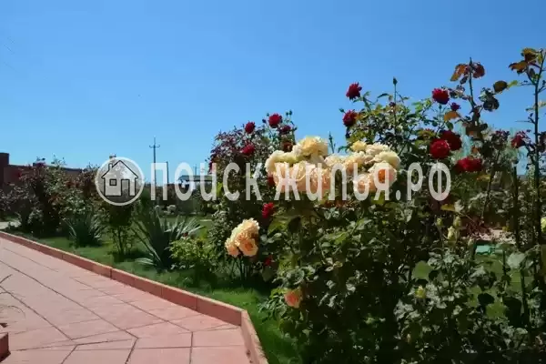 Гостевой дом «У моря», Береговое Гостевой дом «У моря», Береговое