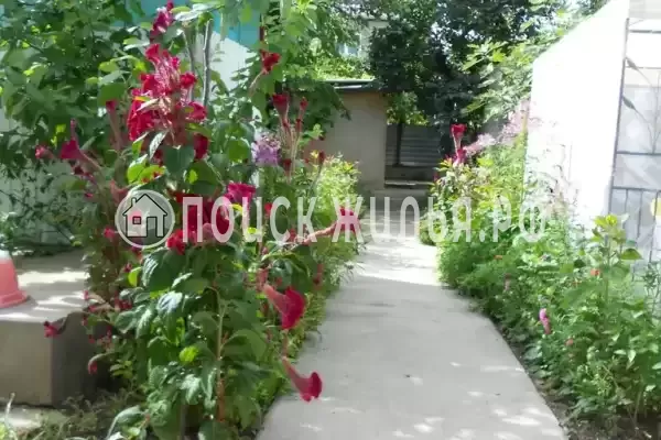 «У тети Аси», Шепси