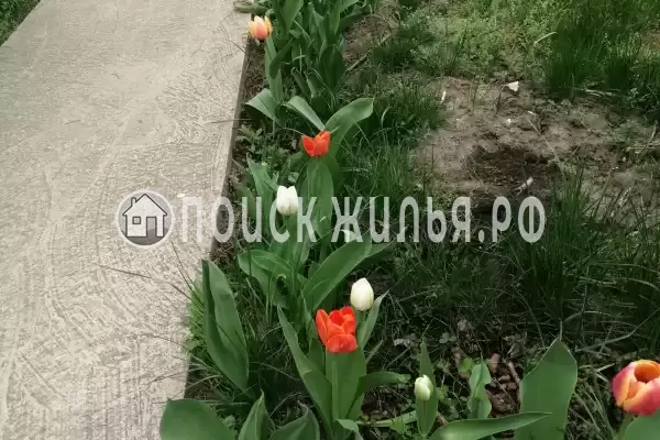 Гостевой дом «Раиса», Брест