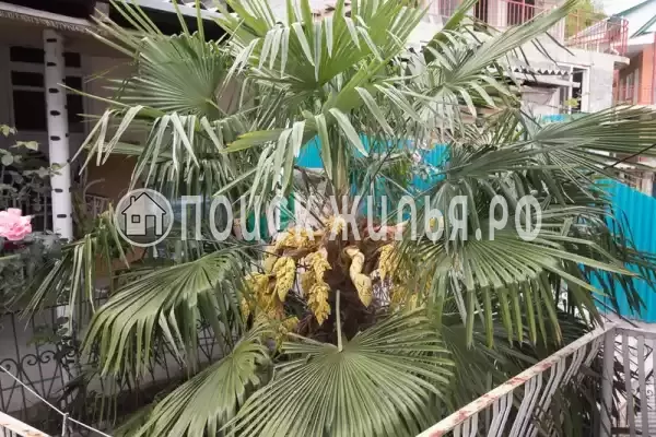 Частный сектор «Светлана», Волконка