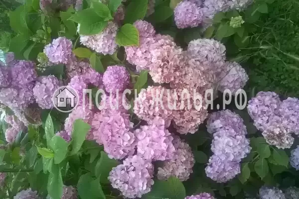 Частный сектор «Дворик детства», Лоо