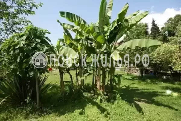 Частный сектор «Дворик детства», Лоо