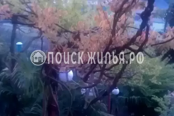 Частный сектор «На Грушевой», Лоо Частный сектор «На Грушевой», Лоо