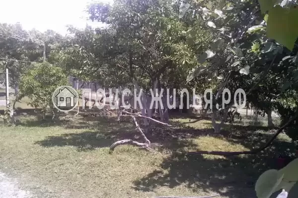 Частный сектор «Paradise», Пицунда