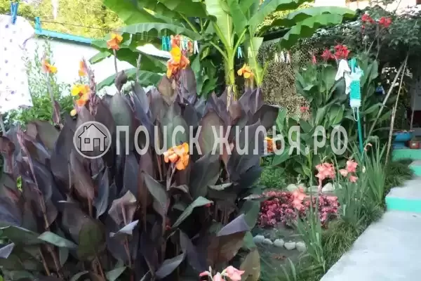 Частный сектор «Цветочный рай», Лоо Частный сектор «Цветочный рай», Лоо