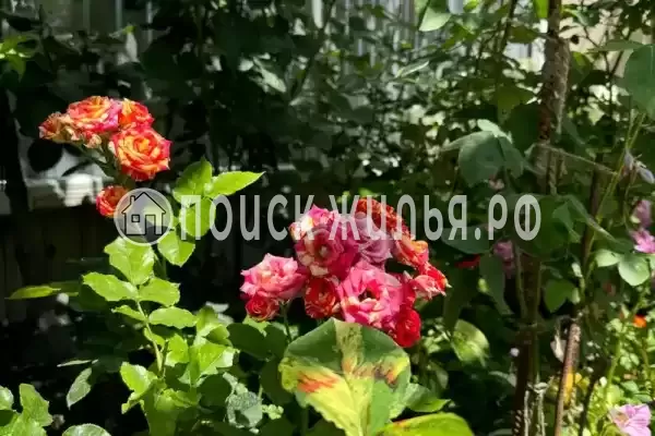 Частный сектор «София», Кабардинка