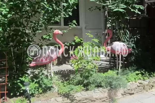 Частный сектор «Розовый фламинго», Витязево